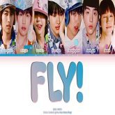 دانلود آهنگ FLY از IDID