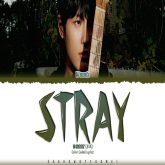 دانلود آهنگ Stray از WOODZ