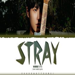 دانلود آهنگ Stray از WOODZ