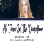 Danlod Ahang No Tears On The Dancefloor Az LEE CHAEYEON