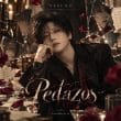 دانلود آهنگ Pedazos از YESUNG